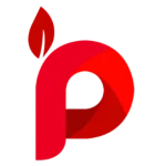 Logo PT. Perdina Indo Utama
